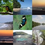 Costa Rica cierra el 2009 con disminución del 9% en ingreso de turistas