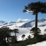 Qué harán en La Araucanía para atraer turistas en invierno