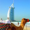 Turismo árabe… La apuesta de Chile en Dubai