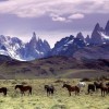 Utilizarán residuos para promocionar el turismo en la patagonia argentina