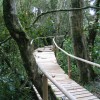 Las condiciones de las Áreas Silvestres Protegidas para la industria del turismo