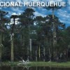 Sernatur lanzará guia de «Ecoturismo Juvenil»