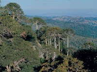 ¿Qué es el ecoturismo en ...