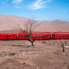 Proyecto permitirá que 600 personas viajen a Antilhue en tren turístico
