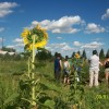 México apunta a la sustentabilidad turística basándose en cánones de la OMT