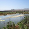 Humedal de Chigualoco abre oportunidades para el turismo