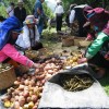 14 de febrero de 2013 El turismo rural en Aysén busca cumplir con la ley del rubro