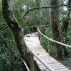 Comunidad indígena de Los Lagos se atrave con proyecto de ecoturismo