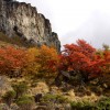 Algunos secretos turísticos que identifican a la Patagonia chilena