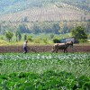 “Chile Ruta Natural”: Turismo de intereses especiales en la V región