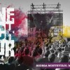 Rock y Enoturismo: Una veta por explotar