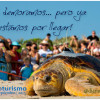 Nuevo Sitio Web DiarioTurismo en Septiembre 2015