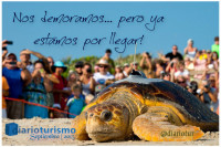 Nuevo Sitio Web DiarioTurismo en ...
